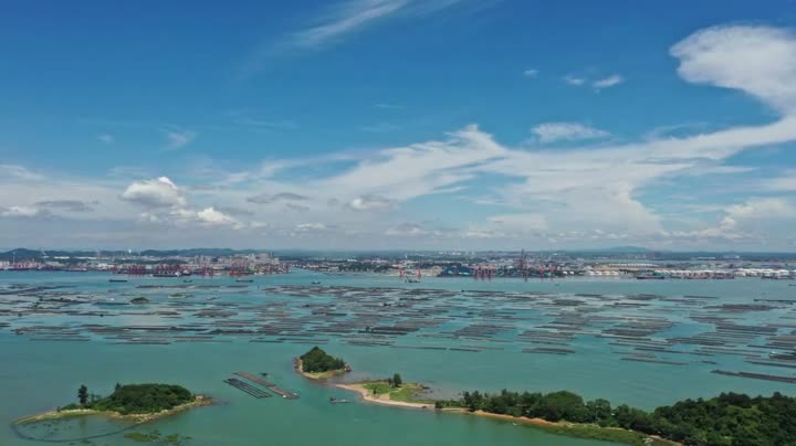 走进乡村看小康系列报道⑨防城港港口区红沙村万亩蚝排带富滨海小渔村